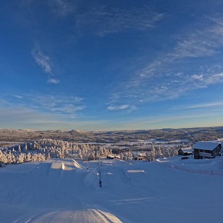 Toppvillan - Ski In - Ski Out - 200 M Till Toppen Och Cykelleder Järvsö エクステリア 写真